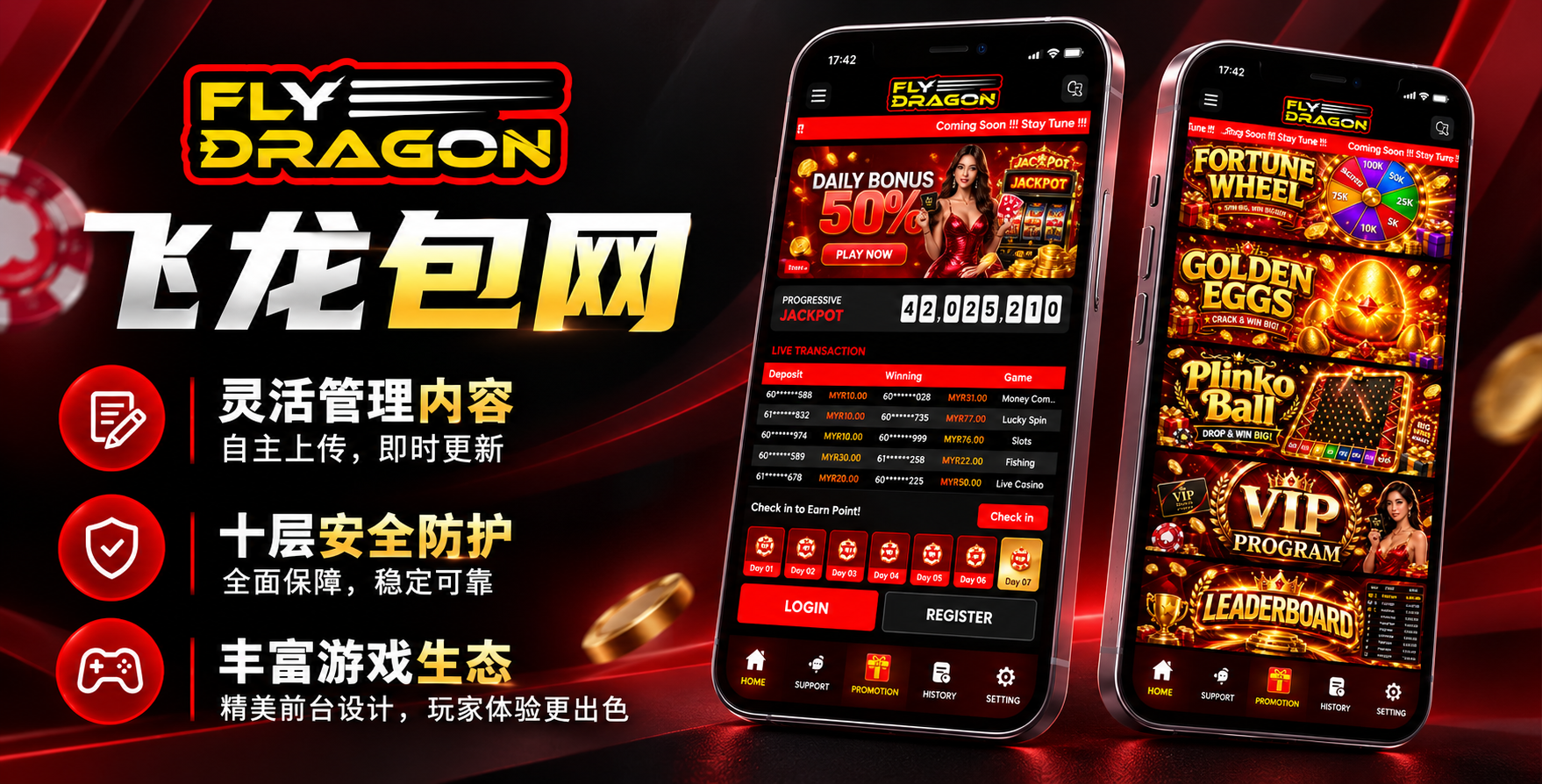 FlyDragon Banner